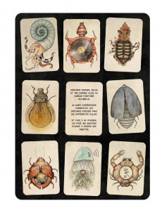 Extrait de Mémoires effondrées