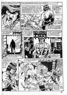 Extrait de Relatos salvages - Artes marciales Vol. 1 -48- La tactica Fenix