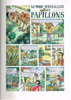 Extrait de Le monde merveilleux des papillons