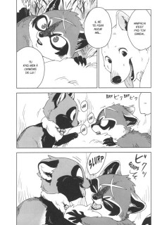 Extrait de Le renard et le petit tanuki -4- Tome 4