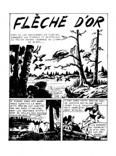 Extrait de Flèche d'Or -35- Numéro 35