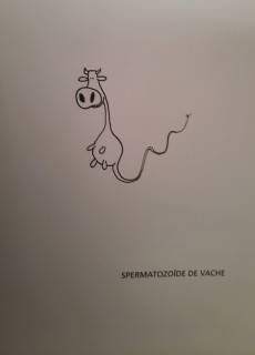 Extrait de La vache ! - Tome 1