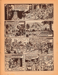 Extrait de Rode Ridder (De) -23a1973- Hugon de hofnar