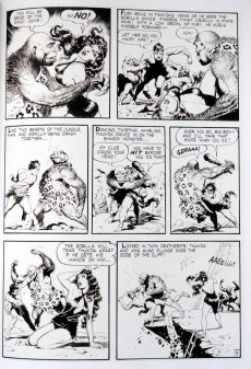 Extrait de (AUT) Frazetta (en anglais) - The Fantastic Worlds of Frank Frazetta