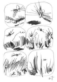 Extrait de Jardin botanique
