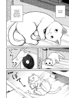 Extrait de Hachi & Maruru - Chats des rues -1- Tome 1