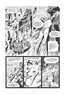 Extrait de Red Sonja (L'intégrale Frank Thorne) -2- 1977-1978