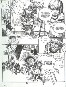 Extrait de Les chroniques de la guerre de Lodoss - La Dame de Falis -2- La Dame de Falis - 2