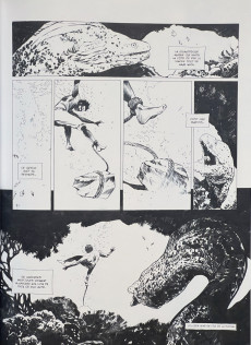 Extrait de Barbe-Rouge (Les nouvelles aventures de) -3TT- Mami Wata