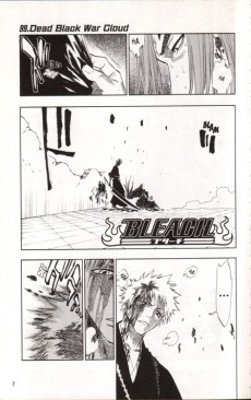 Extrait de Bleach -12- Flower on the Precipice