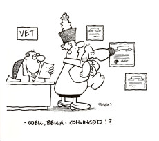 Extrait de Taking Your Pet to the Vet