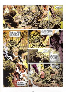 Extrait de Chroniques Barbares -1- La fureur des Vikings