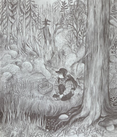 Extrait de Parcelles