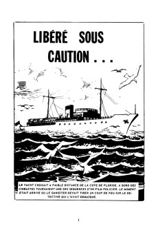 Extrait de Agent spécial (Edi Europ) -16- Libéré sous caution...