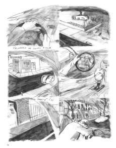 Extrait de La glace part en morceaux