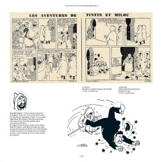 Extrait de Tintin (Les coulisses d'une œuvre) -9- Le crabe aux pinces d'or