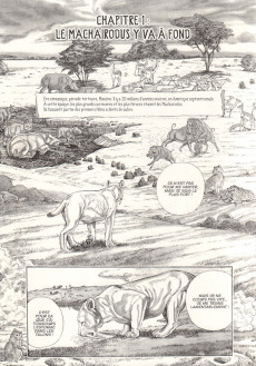 Extrait de Encyclopédie des animaux de la préhistoire