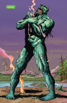 Extrait de Swamp Thing Vol.4 (DC comics - 2004) -6- (sans titre)