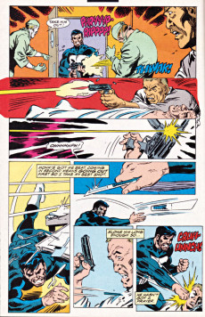 Extrait de Punisher War Journal Vol.1 (1988) -43- Adirondack haunts