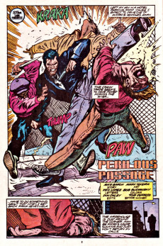 Extrait de The punisher Vol.02 (1987) -37- Jigsaw puzzle part 3 : perillous passage
