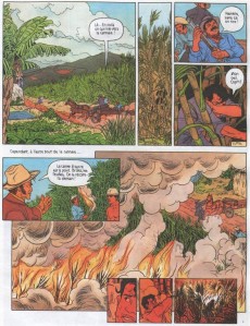 Extrait de L'homme de Moloka'i