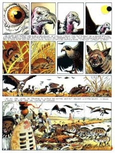 Extrait de Zoulouland -3- Drus comme l'herbe