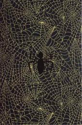 Verso de Spider-Man (et les héros Marvel) - Fascicules -5'- Tome 5