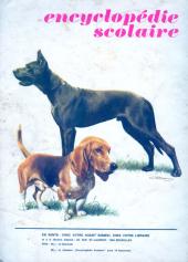 Verso de Samedi Jeunesse -181- Attila, le fléau de Dieu