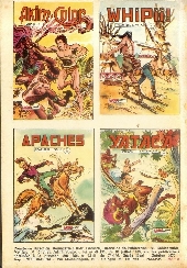 Verso de Brik (Mon journal) -151- La mort rouge