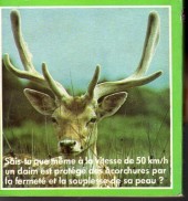 Verso de Pifou (Poche) -105- N°105