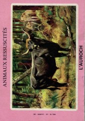 Verso de Harry Sprint (Sagédition) -5- Nuit de cauchemar
