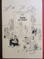 Verso de Tintin - Pastiches, parodies & pirates -1995- Tintin en Syldavie