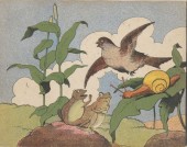 Verso de (AUT) Rabier - Les mémoires d'un escargot