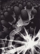 Verso de Cerebus (1977) -INT07TL- Flight