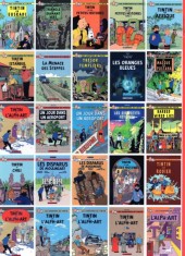 Verso de Tintin - Pastiches, parodies & pirates -2014- Tintin en Afrique