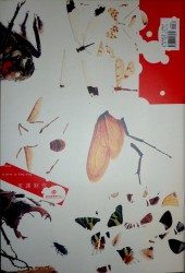 Verso de Cockroach - Tome 2