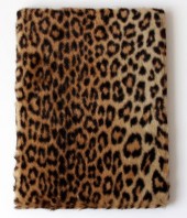 Verso de (AUT) Benoit, Ted -1985 TT2- La peau du léopard