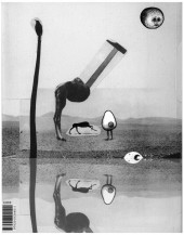 Verso de Tales from Dumb Owl