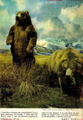 Verso de Le roi de la prairie (Sagedition) -Rec02- Album N°2 (du n°5 au n°6)