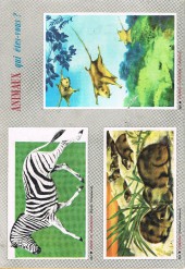 Verso de Rin Tin Tin & Rusty (1re série - Vedettes TV) -80- Le fils du général Don Diègue