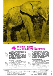 Verso de Les héros de l'aventure (Spécial) -2- Le chant de l'éléphant blanc