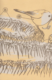 Verso de BOPCCBA - Tome 5