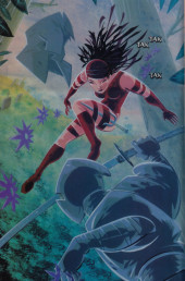 Verso de Elektra: Glimpse & echo (2002) -1- Elektra: Glimpse & echo #1
