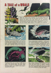 Verso de Sea Hunt (Dell - 1960) -5- Issue # 5