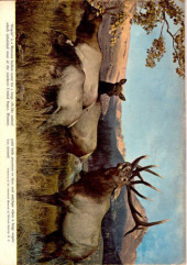 Verso de The lone Ranger (Dell - 1948) -38- Issue # 38