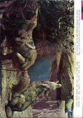 Verso de The lone Ranger (Gold Key - 1964) -5- The Spoil Takers