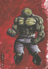 Verso de Cochonulk -1- Tome 1