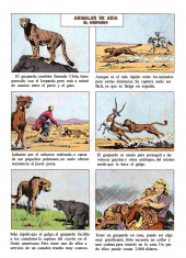 Verso de Jim de la selva (Jungle Jim) -16- Número 16