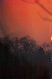 Verso de Cerebus (1977) -256- Going Home 25