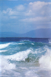 Verso de Cerebus (1977) -260- Going Home 29